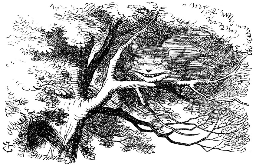 Wikipedia picture of the Cheshire Cat